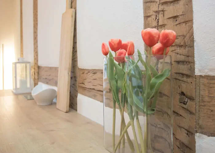 Appartement Denkmal Haus Hugo Medebach